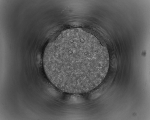 X0000100310420200807031151