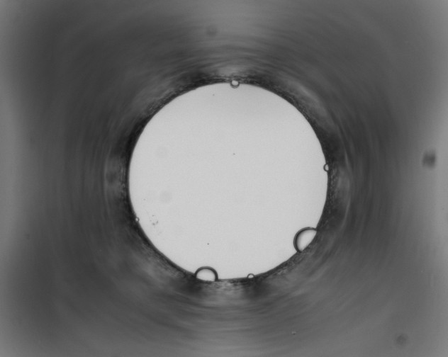 X0000100310421200807031151