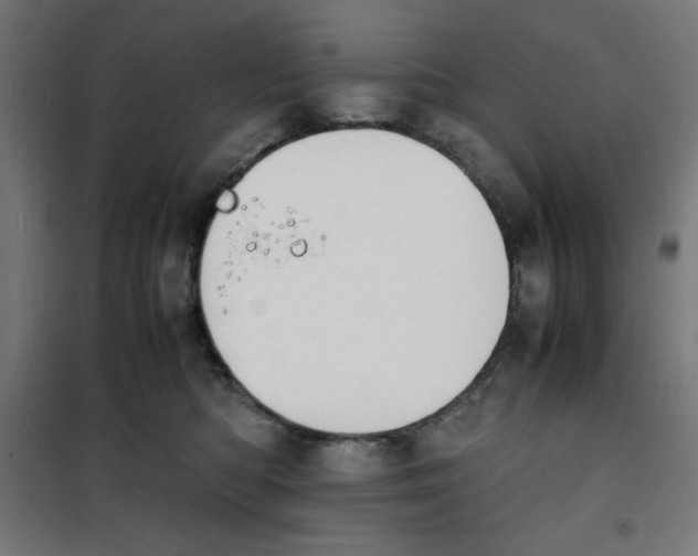 X0000100310422200807031151