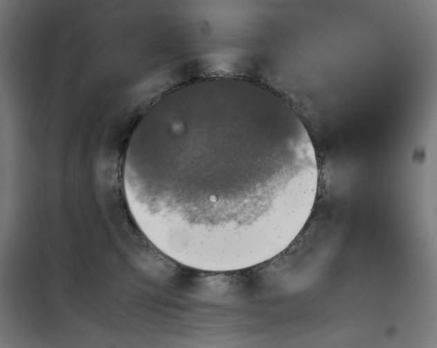 X0000100310423200807031151