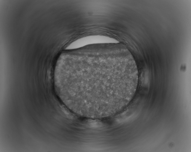 X0000100310424200807031151