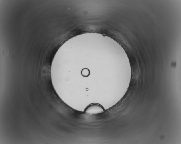 X0000100310425200807031151