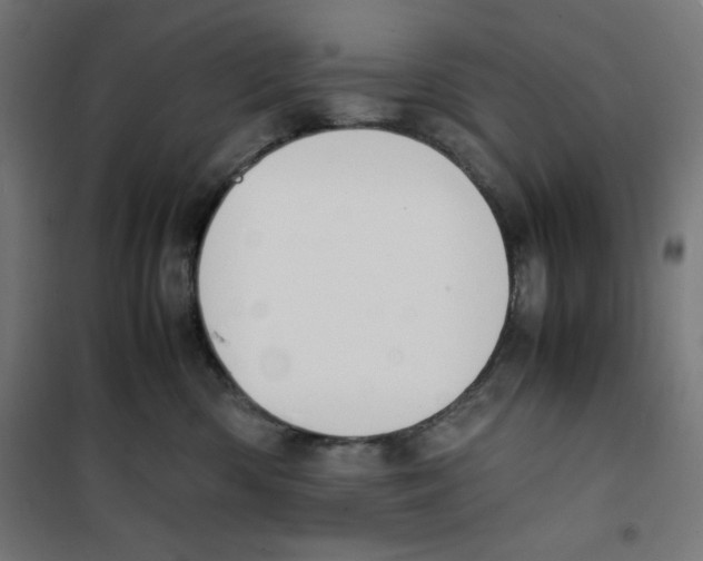 X0000100310426200807031151