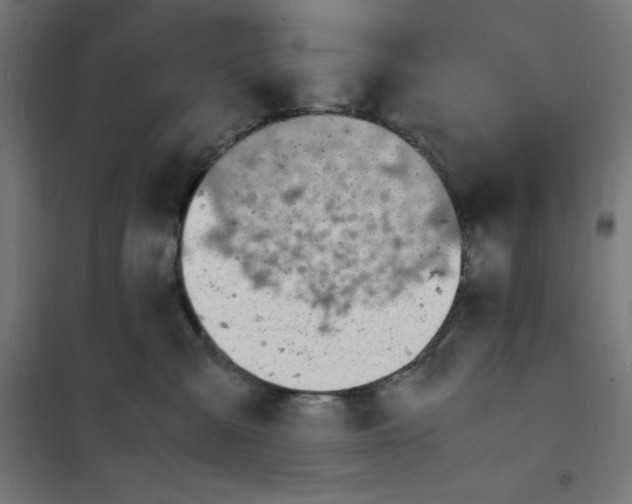 X0000100310427200807031151