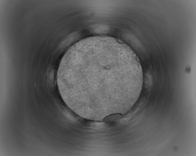 X0000100310428200807031151