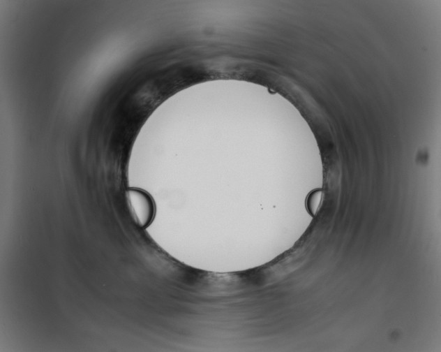 X0000100310429200807031151