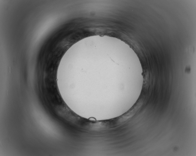 X0000100310430200807031151