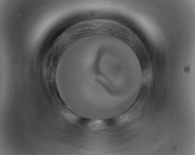 X0000100310431200807031151