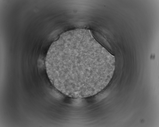 X0000100310432200807031151