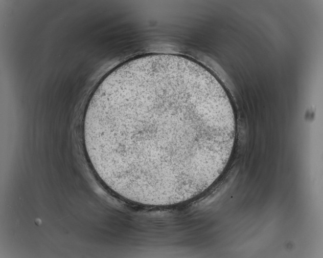 X0000100310433200807031150
