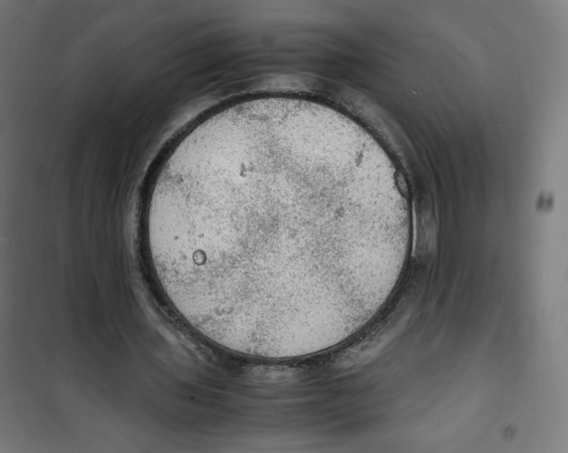 X0000100310435200807031150