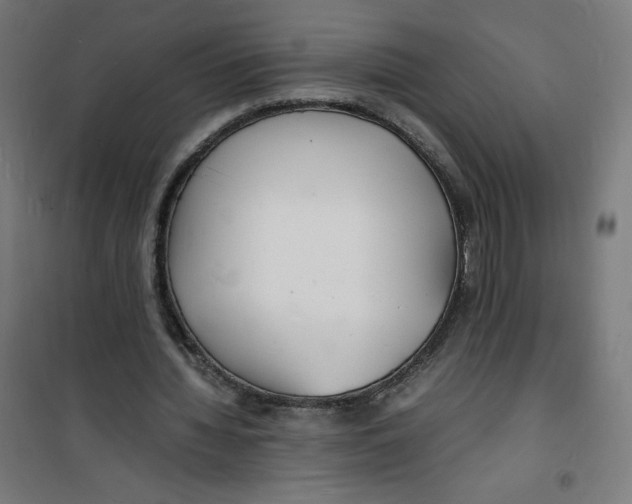 X0000100310436200807031150