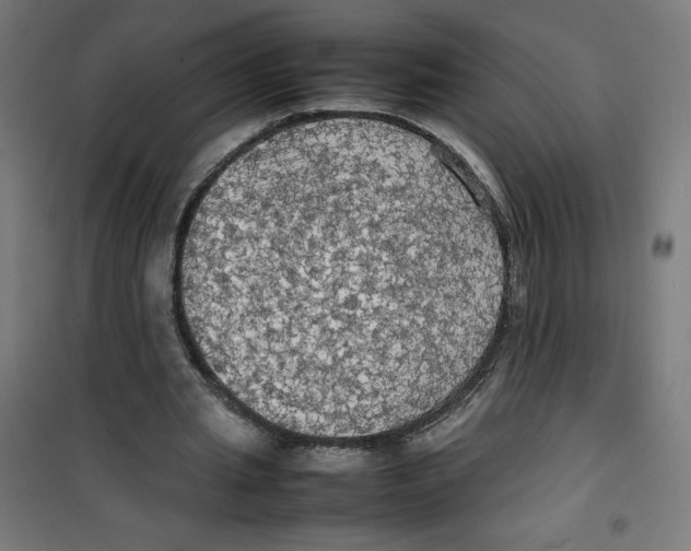 X0000100310437200807031150