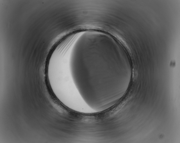 X0000100310438200807031150