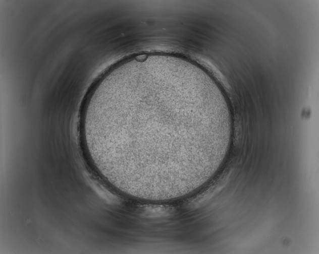 X0000100310439200807031150