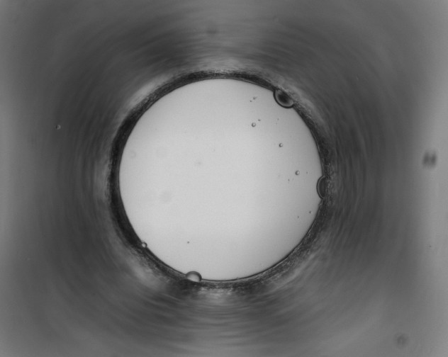 X0000100310440200807031150