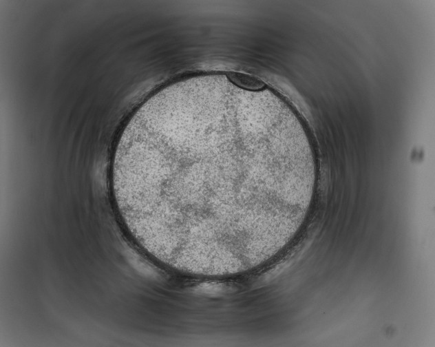 X0000100310441200807031150
