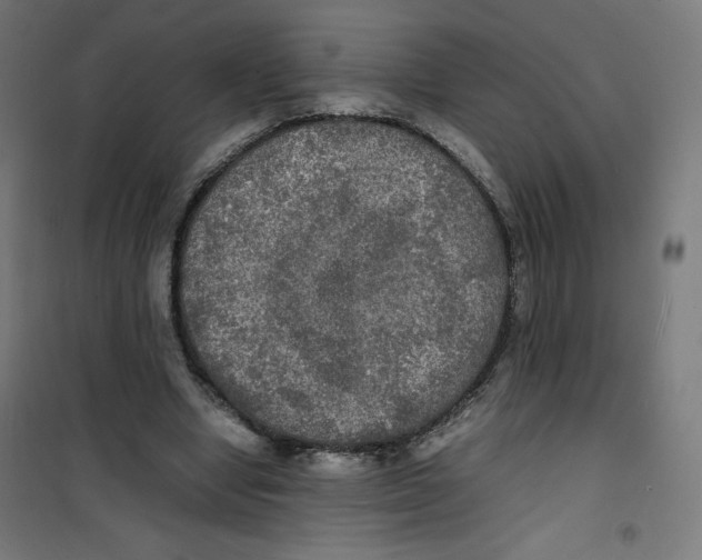 X0000100310442200807031150