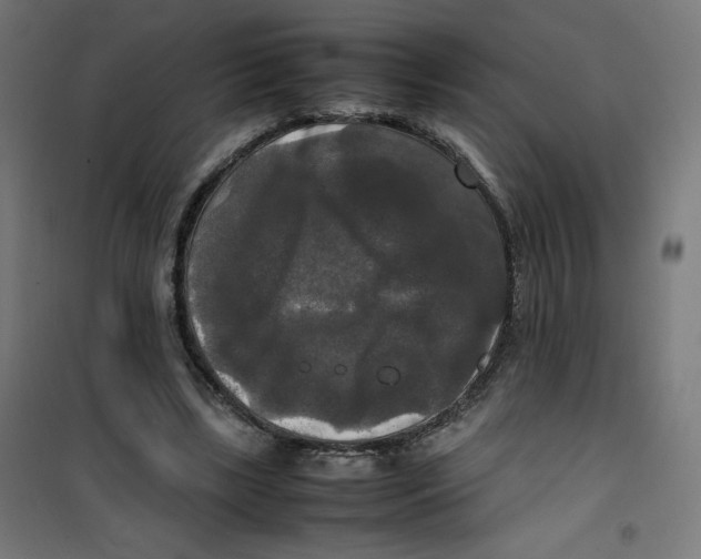 X0000100310443200807031150