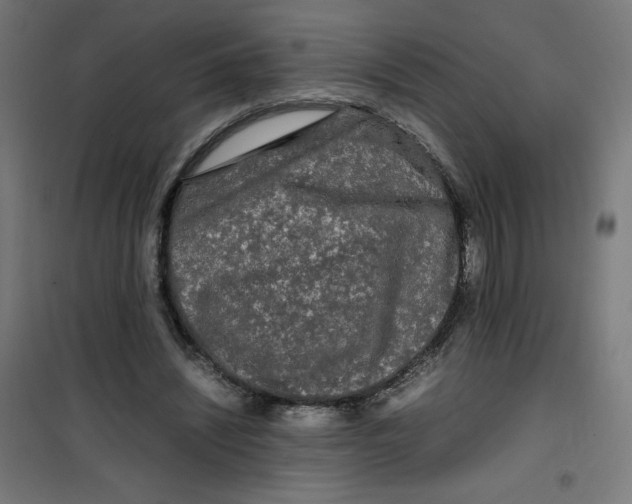 X0000100310444200807031150