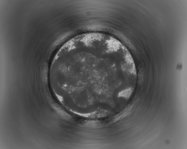 X0000100310446200807031150