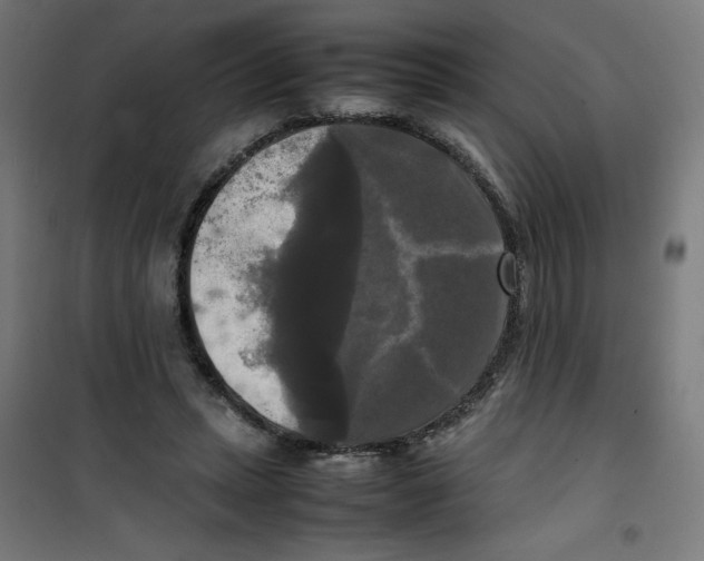 X0000100310447200807031150