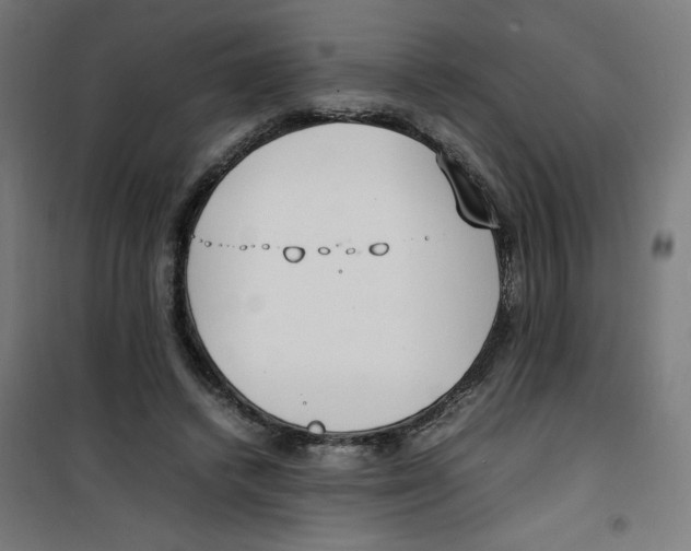 X0000100310448200807031150
