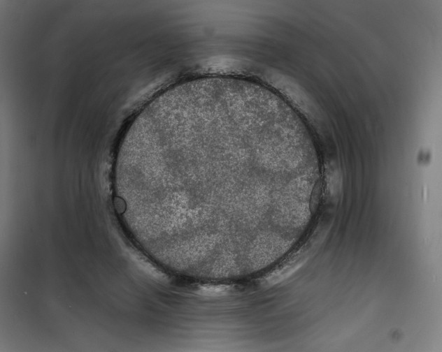 X0000100310450200807031150
