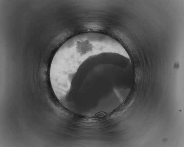 X0000100310451200807031150