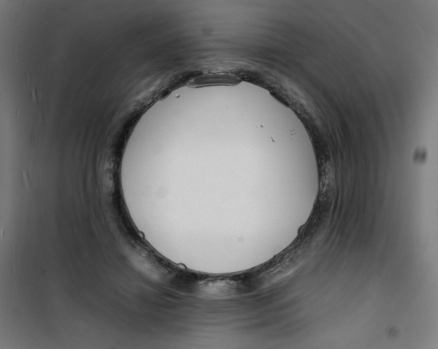 X0000100310452200807031150