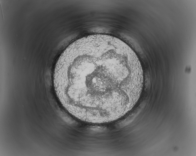 X0000100310453200807031150