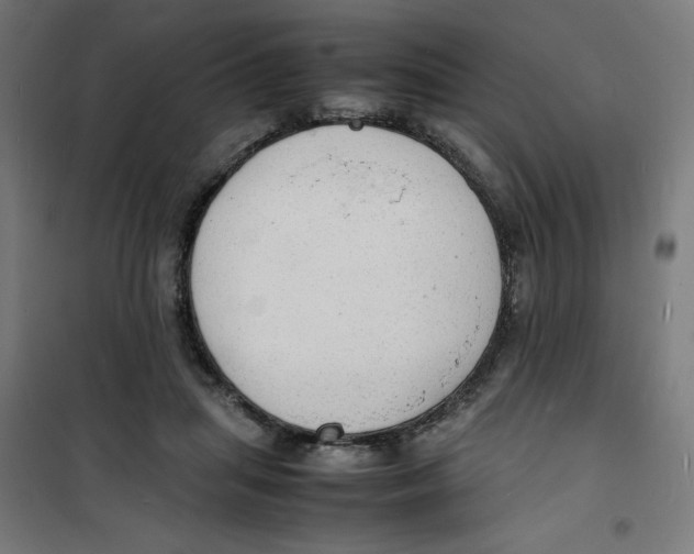 X0000100310455200807031150