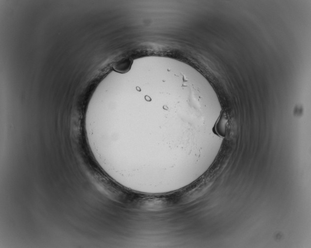X0000100310456200807031150