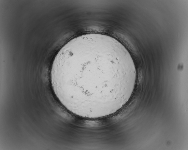 X0000100310457200807031150