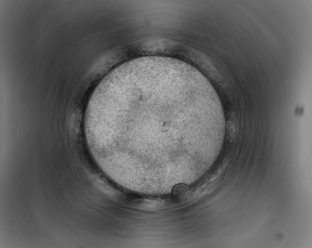 X0000100310458200807031150