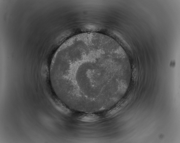 X0000100310459200807031150