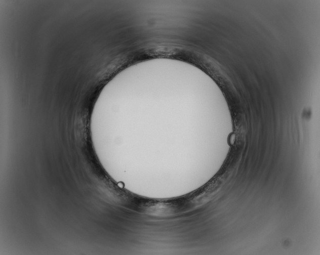 X0000100310460200807031150