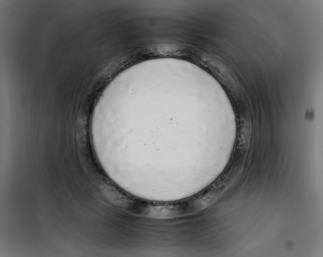 X0000100310461200807031151