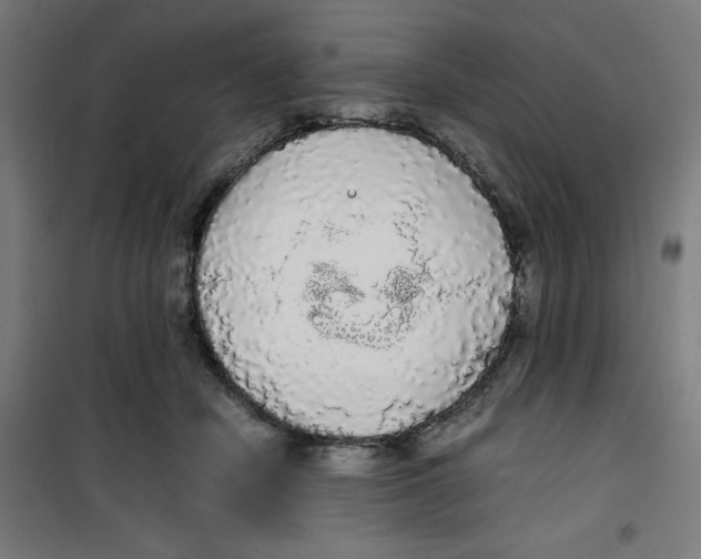 X0000100310462200807031151