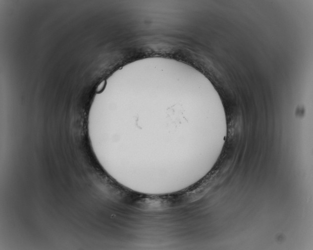 X0000100310464200807031151