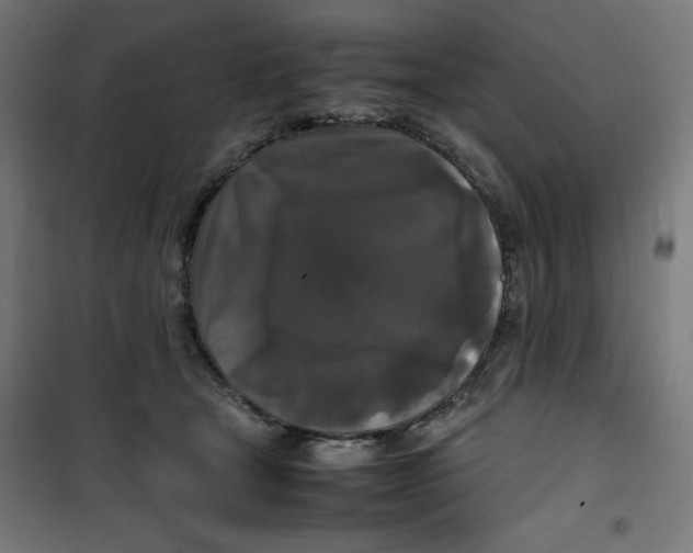 X0000100310465200807031151