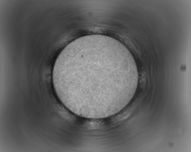 X0000100310466200807031151