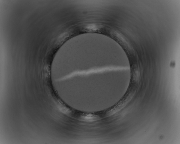 X0000100310467200807031151