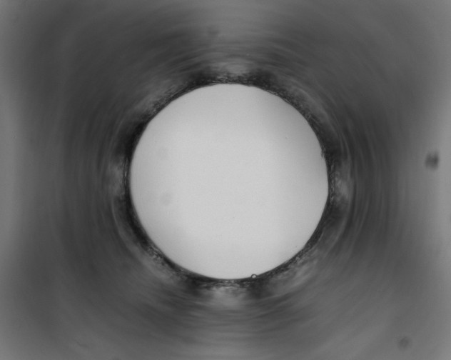 X0000100310468200807031151