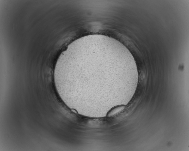 X0000100310470200807031151