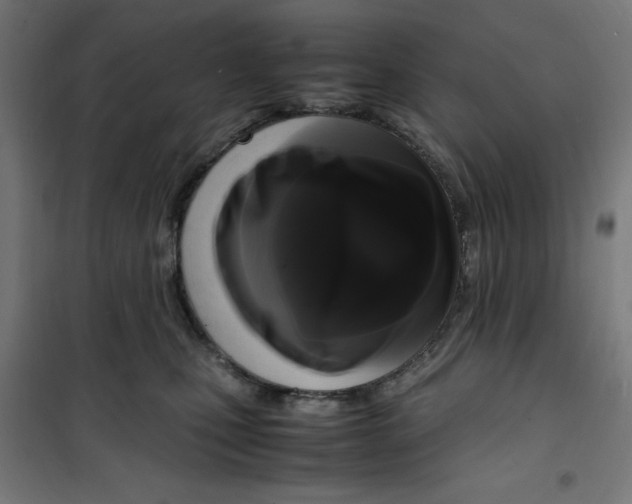 X0000100310471200807031151