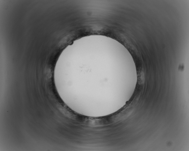 X0000100310472200807031151