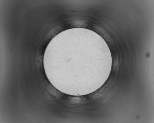 X0000100310473200807031151