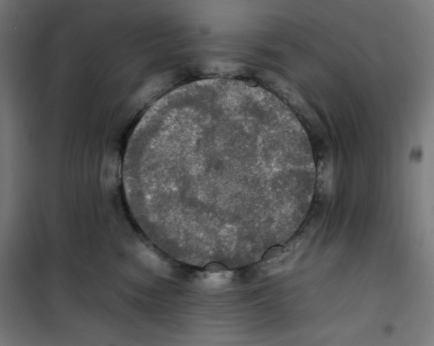 X0000100310474200807031151