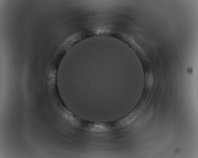 X0000100310475200807031151